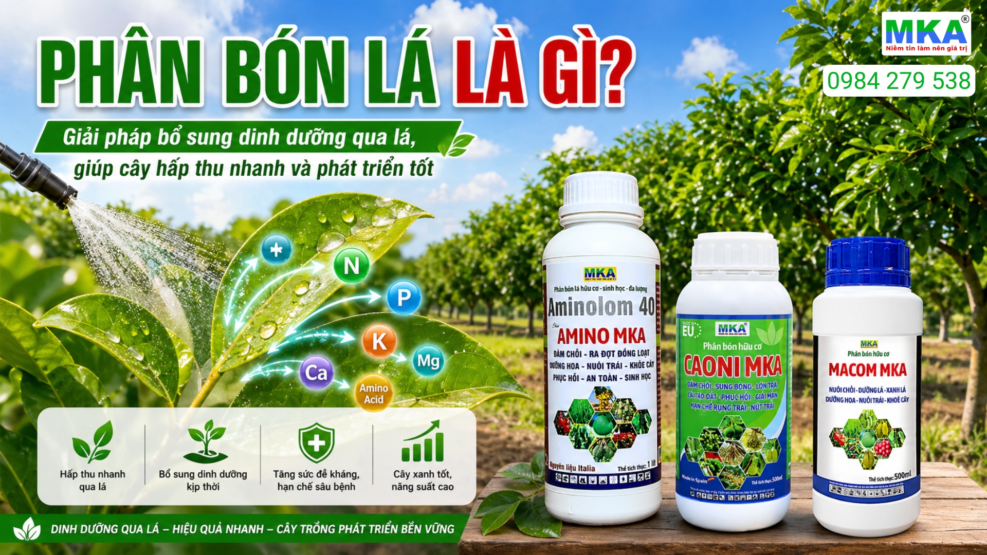 Phân bón lá là gì?